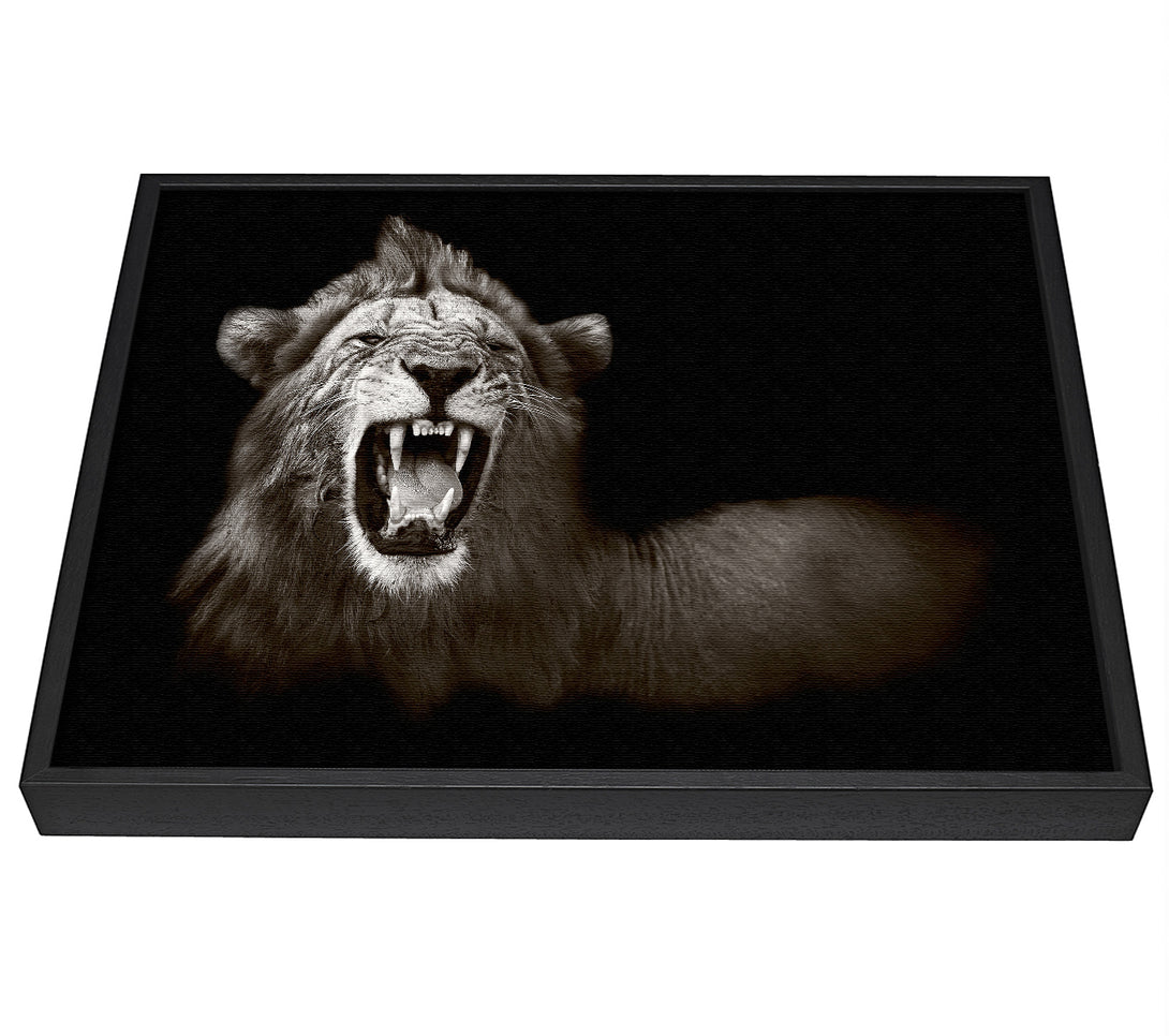 A picture of a Lion Roar framed canvas print sold by Wallart-Direct.co.uk