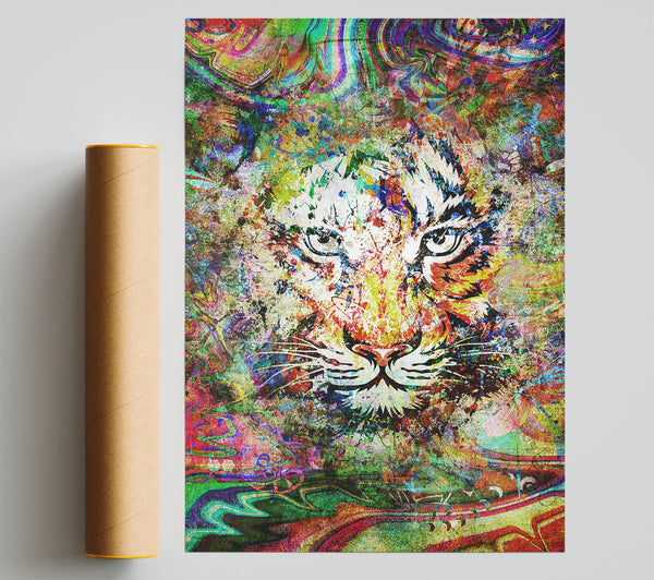 Rainbow Splash Tiger