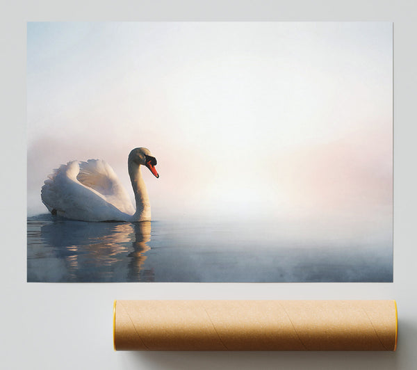 Misty Swan