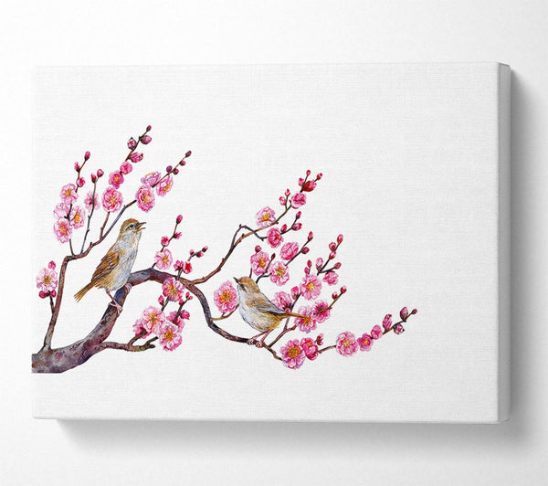 Cherry Tree Love Birds