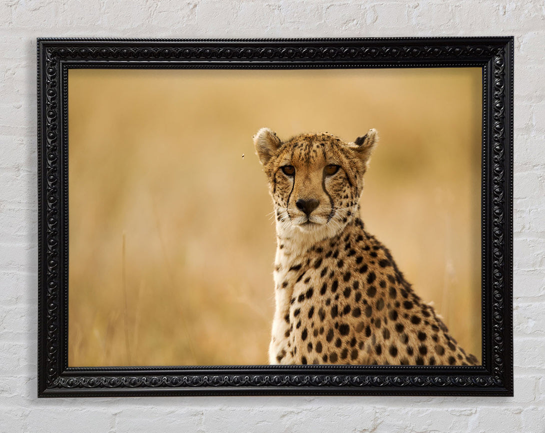 Cheetah Print Wall Art Charlotte Black