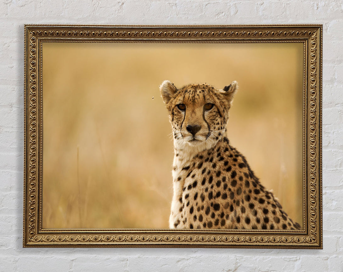 Cheetah Print Wall Art Gold