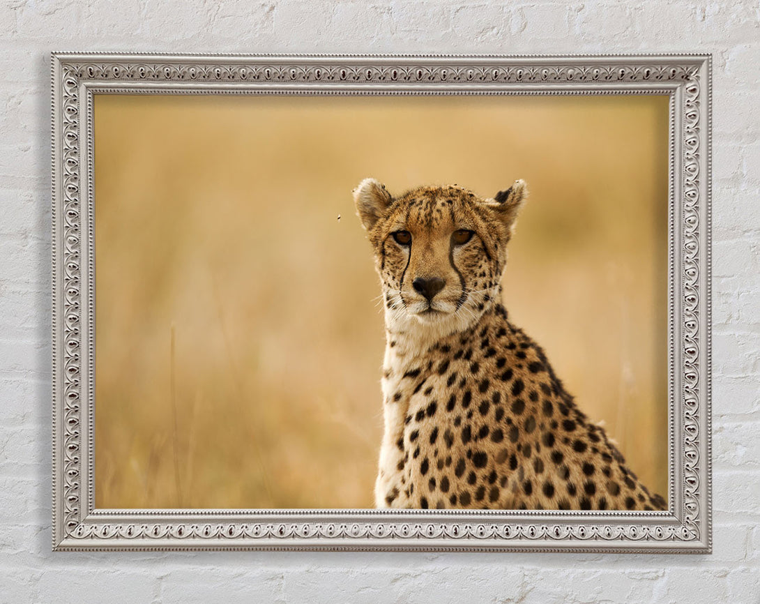 Cheetah Print Wall Art Charlotte White