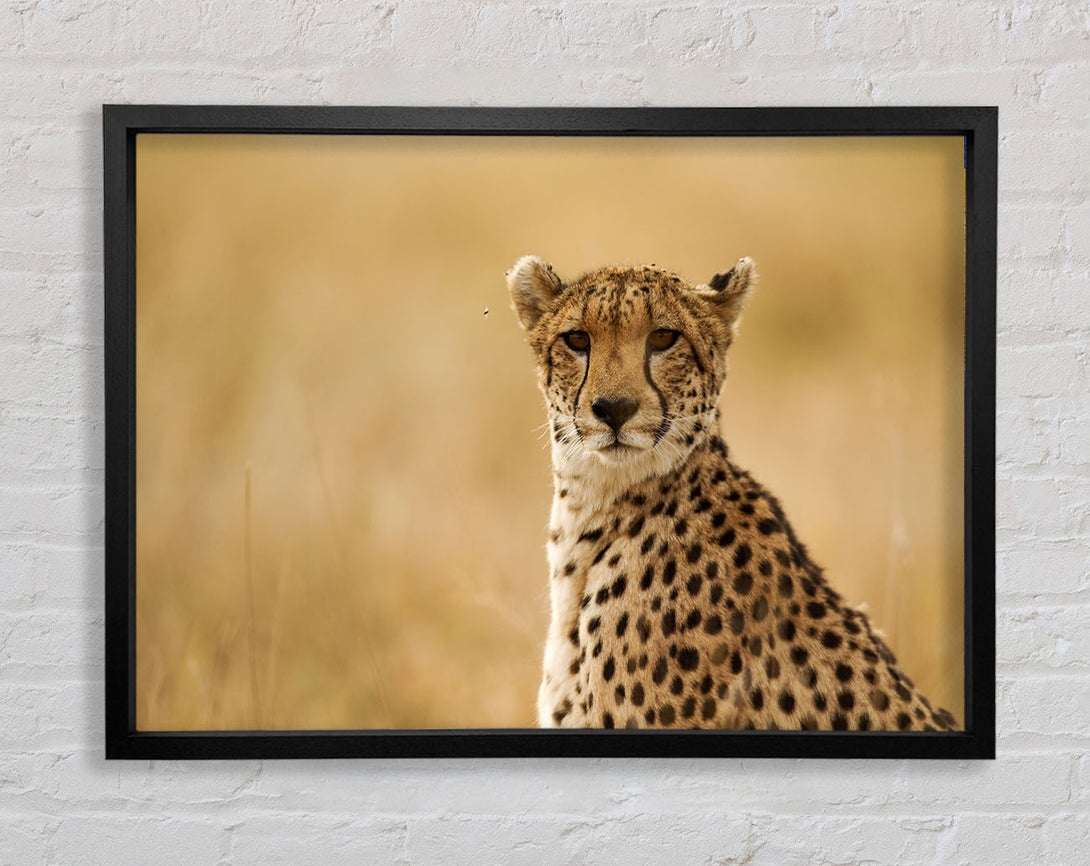 Cheetah Print Wall Art