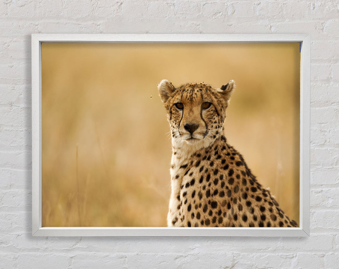 Cheetah Print Wall Art Standard white