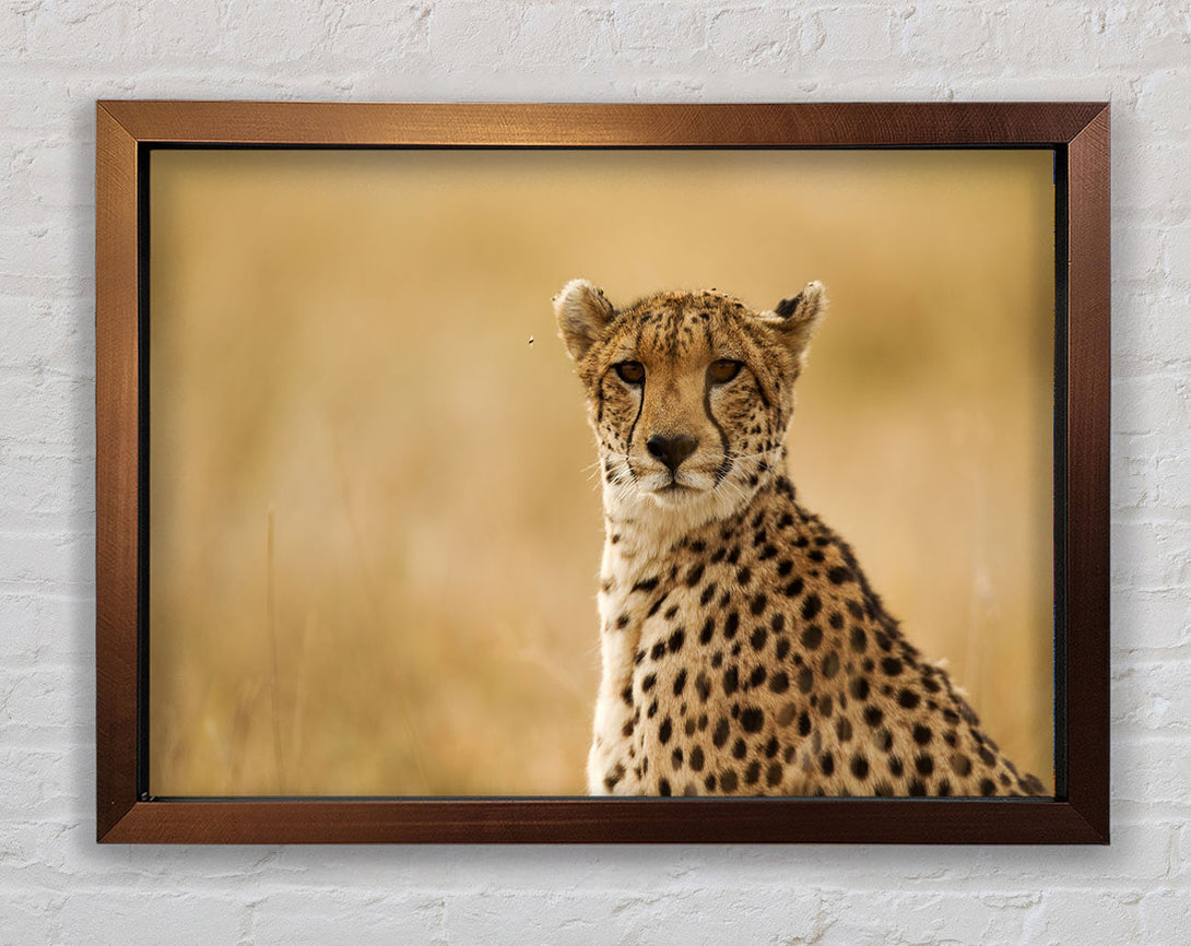 Cheetah Print Wall Art Ventrua Bronze