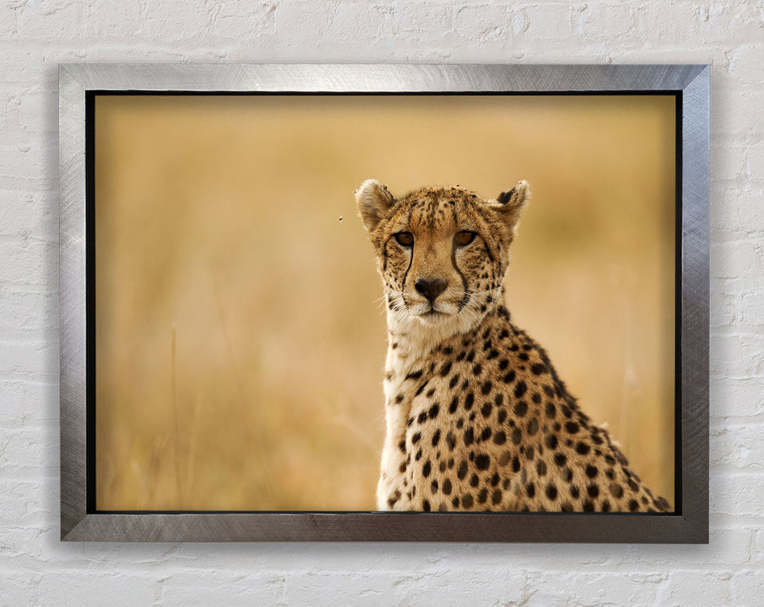 Cheetah Print Wall Art Silver