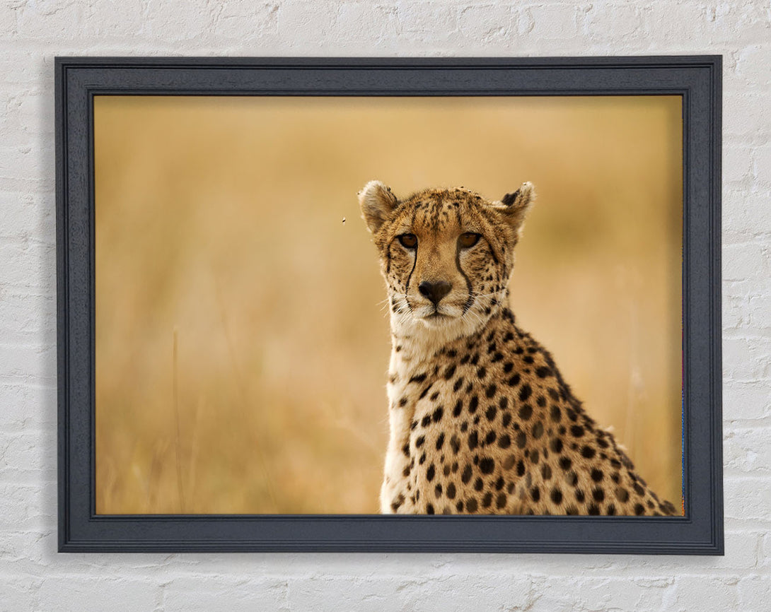 Cheetah Print Wall Art Whistler Grey