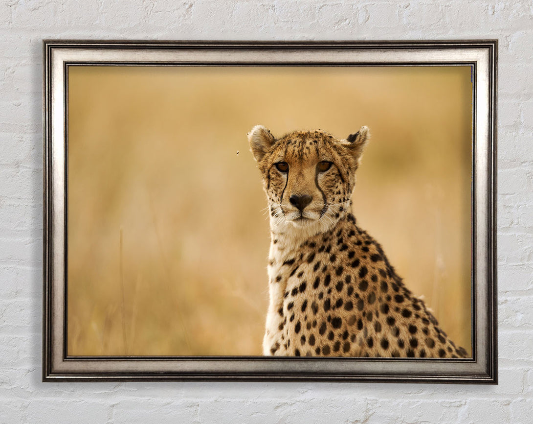 Cheetah Print Wall Art Gunmetal