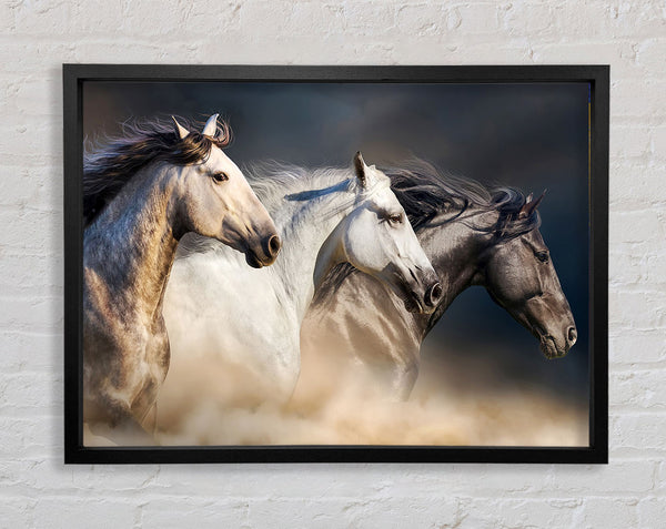 Wild Horse Trio