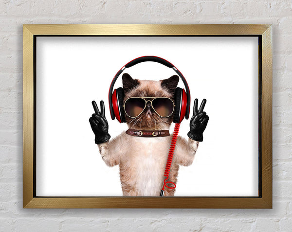 Musical Peace Cat