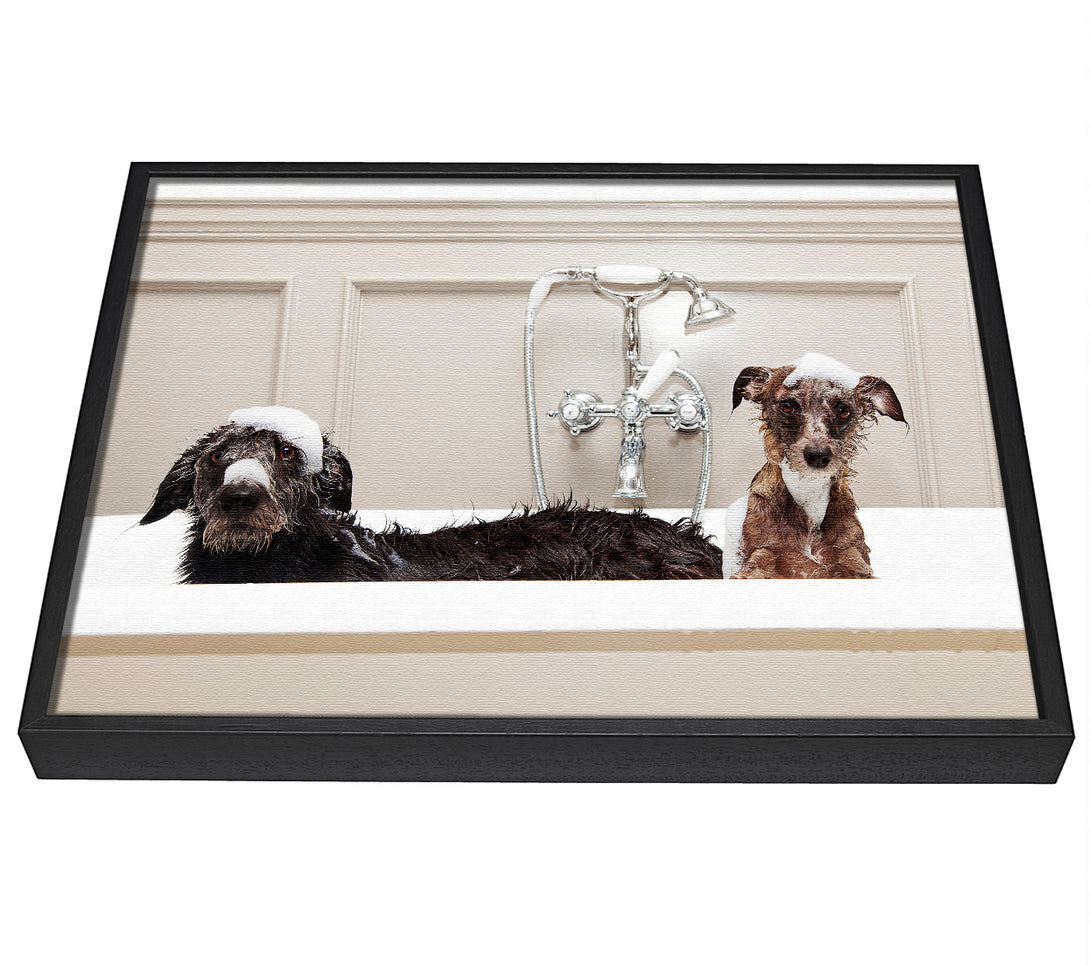 A picture of a Bath Time Dogs framed canvas print sold by Wallart-Direct.co.uk