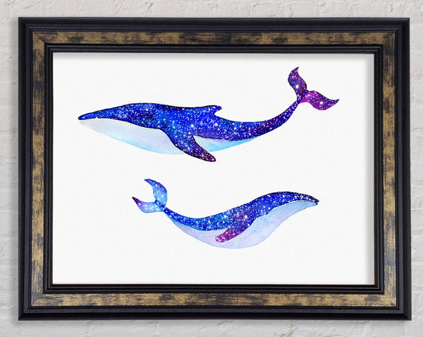 Twinkling Whales