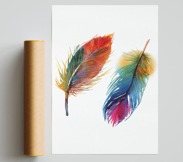 Rainbow Feathers