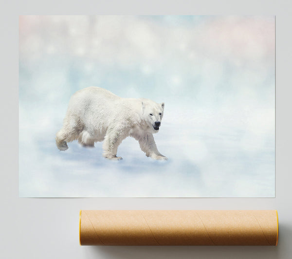 Polar Bear Twinkle