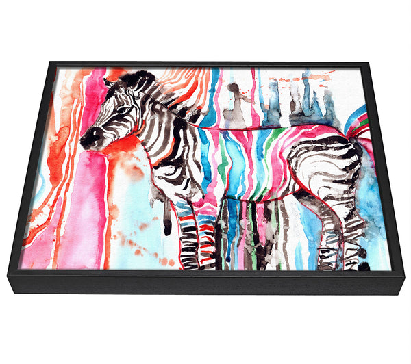 A picture of a Funky Zebra framed canvas print sold by Wallart-Direct.co.uk