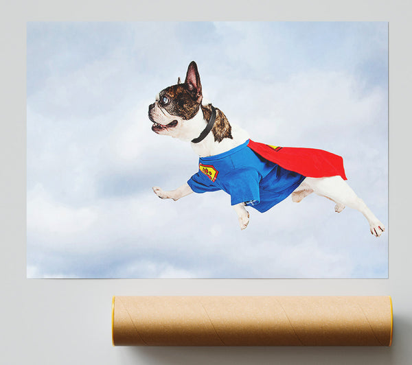 Super Dog Skies