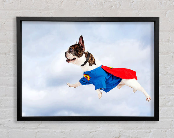 Super Dog Skies