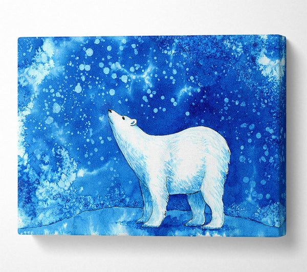 Magical Polar Bear