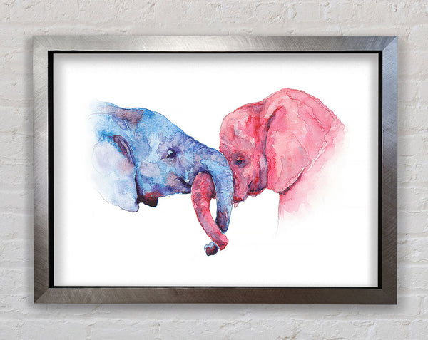 Elephant Trunk love