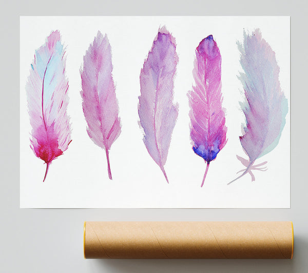 Pink Indian Feathers 1