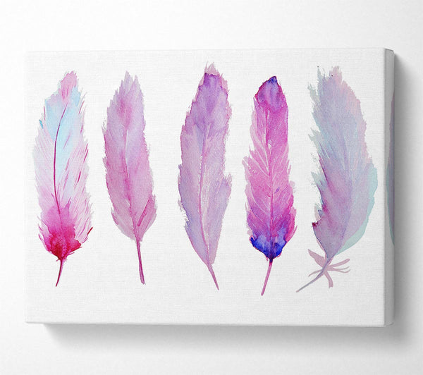 Pink Indian Feathers 1