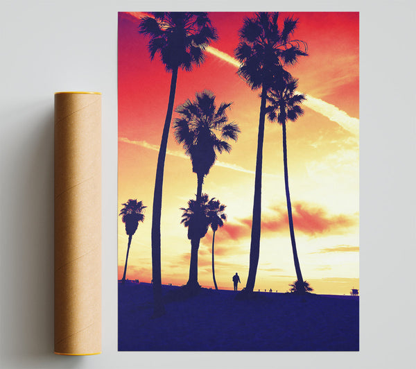 Palm Tree Sunset