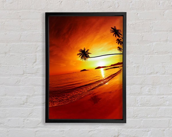 Ocean Sunset Palm