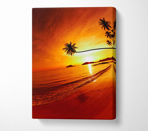 Ocean Sunset Palm