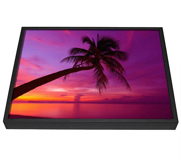 A picture of a Palm Tree Skies framed canvas print sold by Wallart-Direct.co.uk