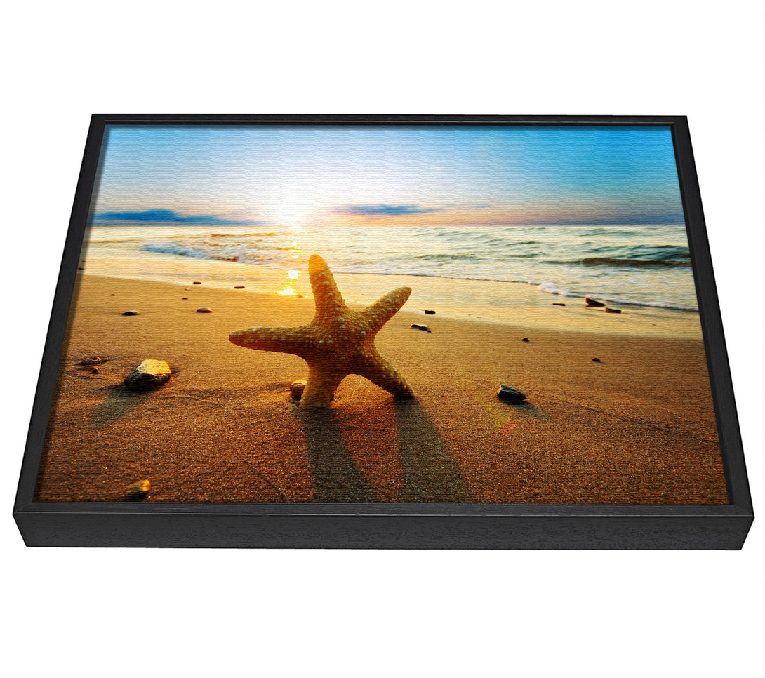 A picture of a Starfish Sun Glow framed canvas print sold by Wallart-Direct.co.uk