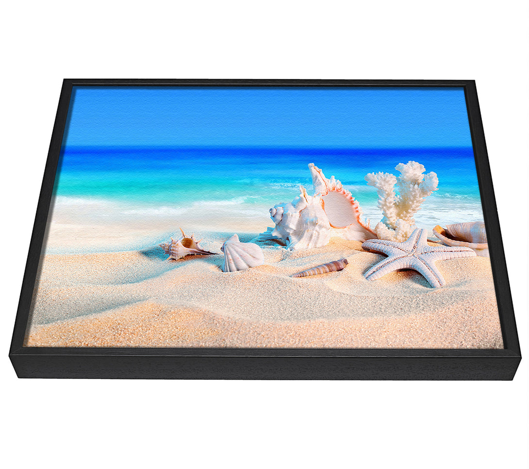 A picture of a Perfect Ocean Shells framed canvas print sold by Wallart-Direct.co.uk