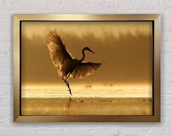 Dancing Sunset Heron