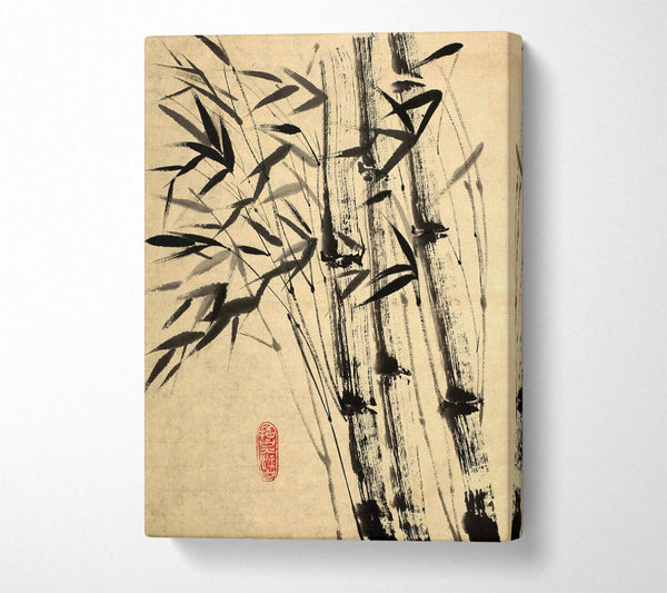 Chinese Bamboo 3