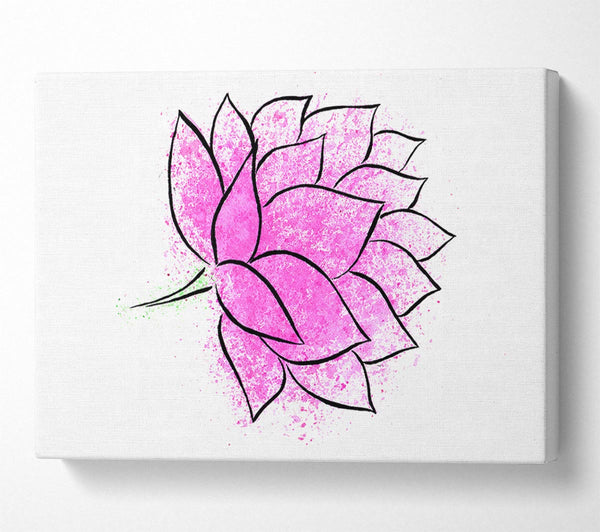 Pink Lotus Flower 1