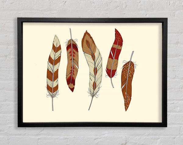 Red Indian Feathers