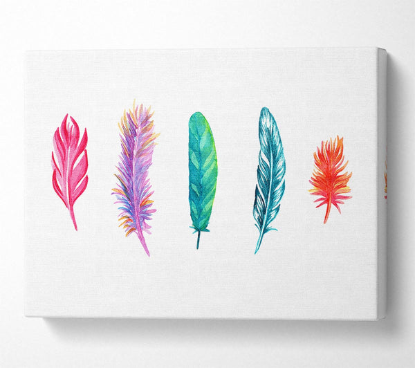 Red Indian Rainbow Feathers