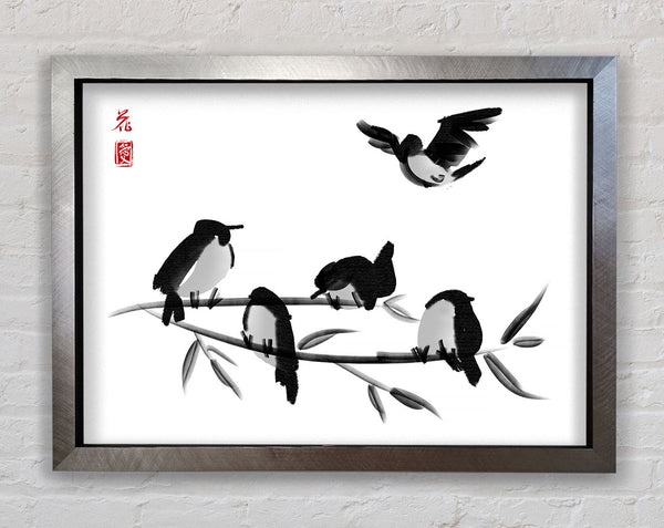 Chinese Birds