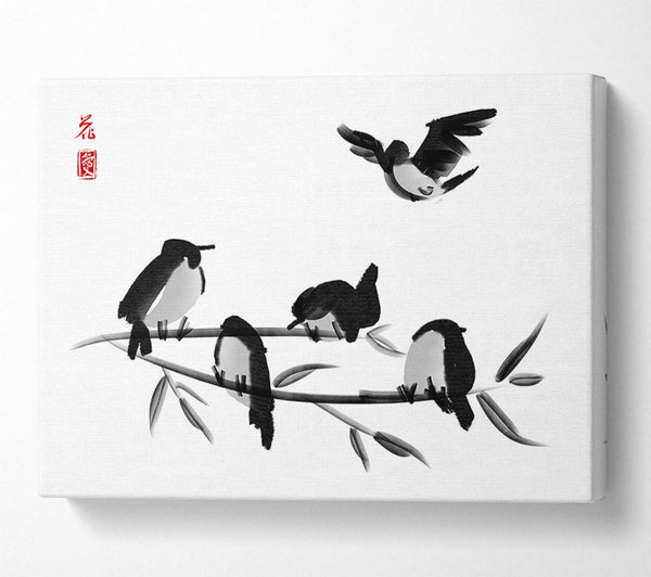 Chinese Birds