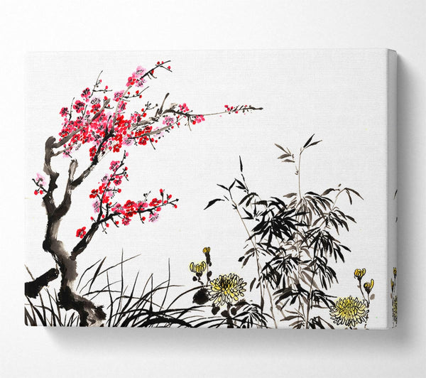 Chinese Cherry Blossom Grasses