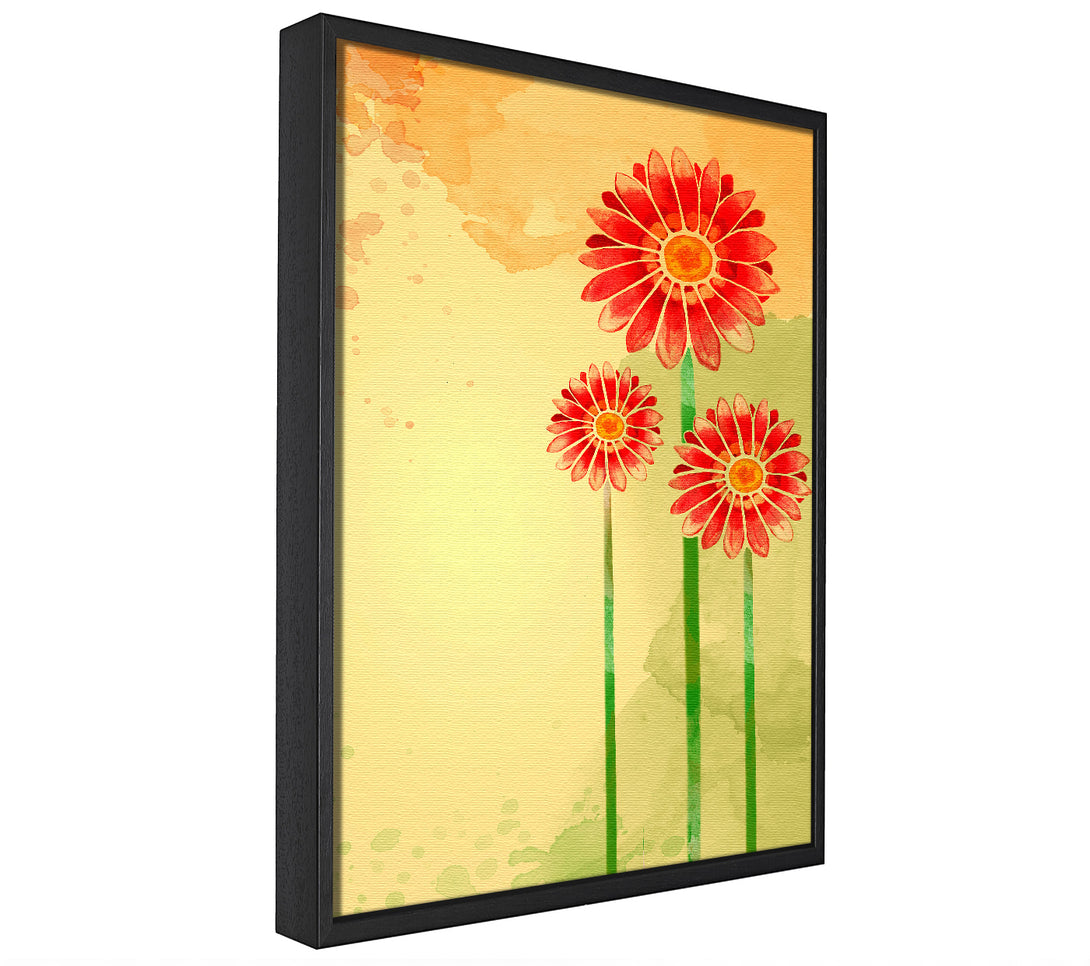 A picture of a Trio Of Daisies framed canvas print sold by Wallart-Direct.co.uk