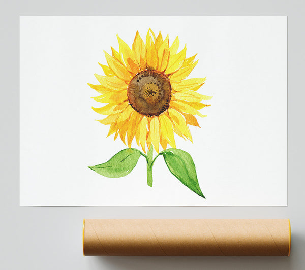 Single Sunflower