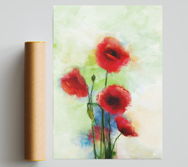 Red Poppies