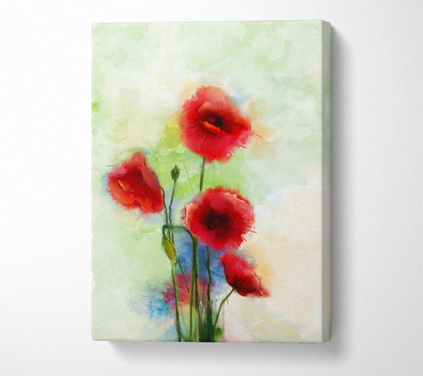 Red Poppies