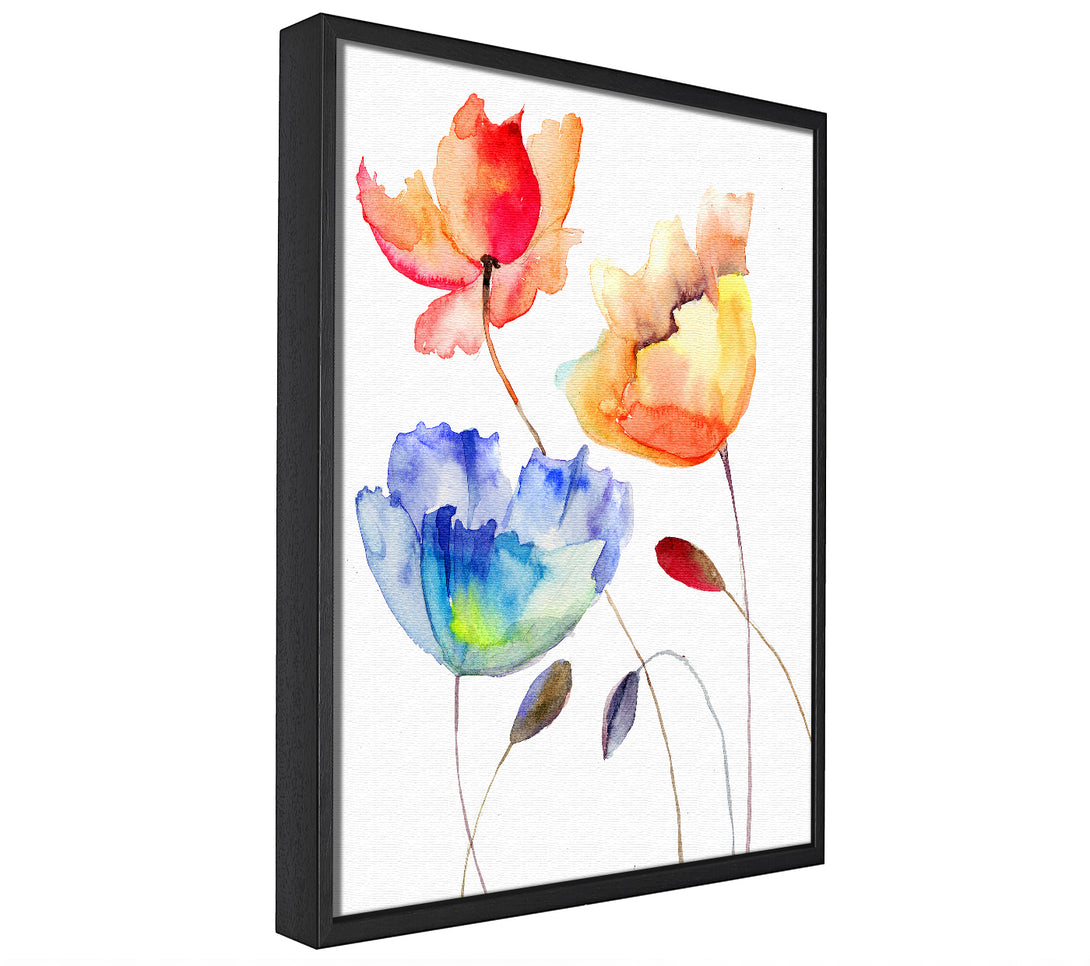 A picture of a Poppy Watercolour framed canvas print sold by Wallart-Direct.co.uk