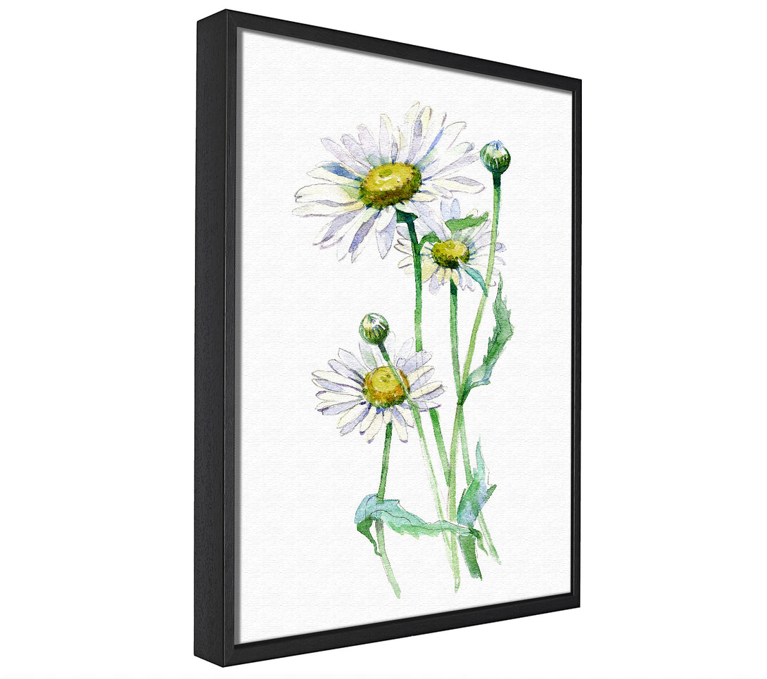 A picture of a Daisy Center framed canvas print sold by Wallart-Direct.co.uk