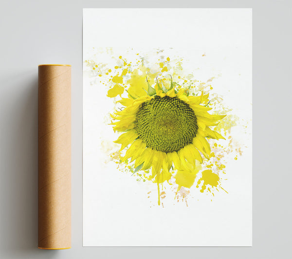 Sunflower Splash 2