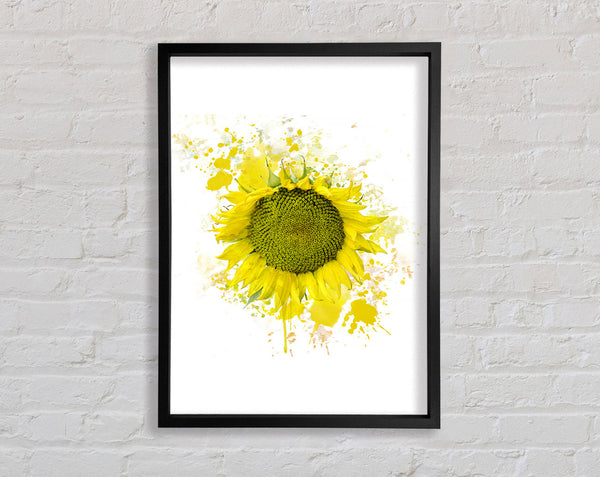 Sunflower Splash 2