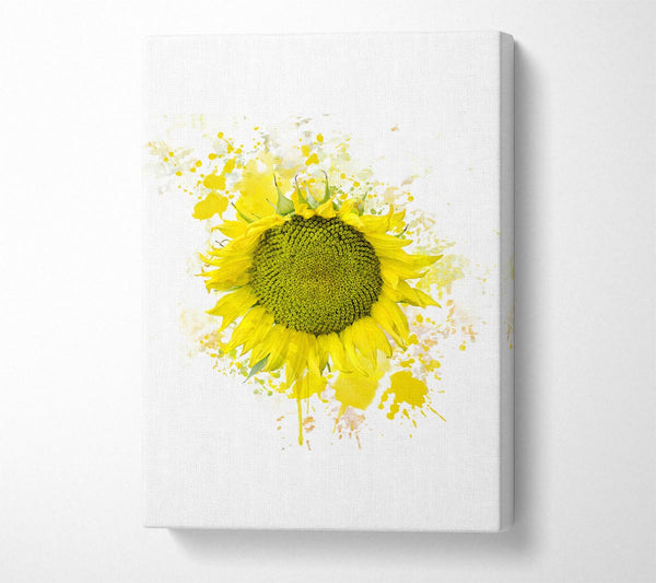 Sunflower Splash 2