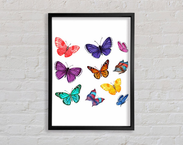 Rainbow Butterflies